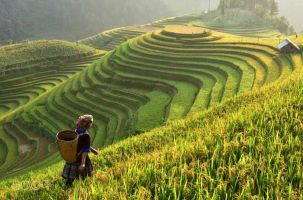 Du lịch nông nghiệp, nông thôn: Hướng tới những giá trị riêng biệt