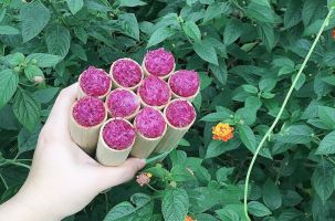 Cơm lam - Ẩm thực sắc màu Vườn quốc gia Xuân Sơn